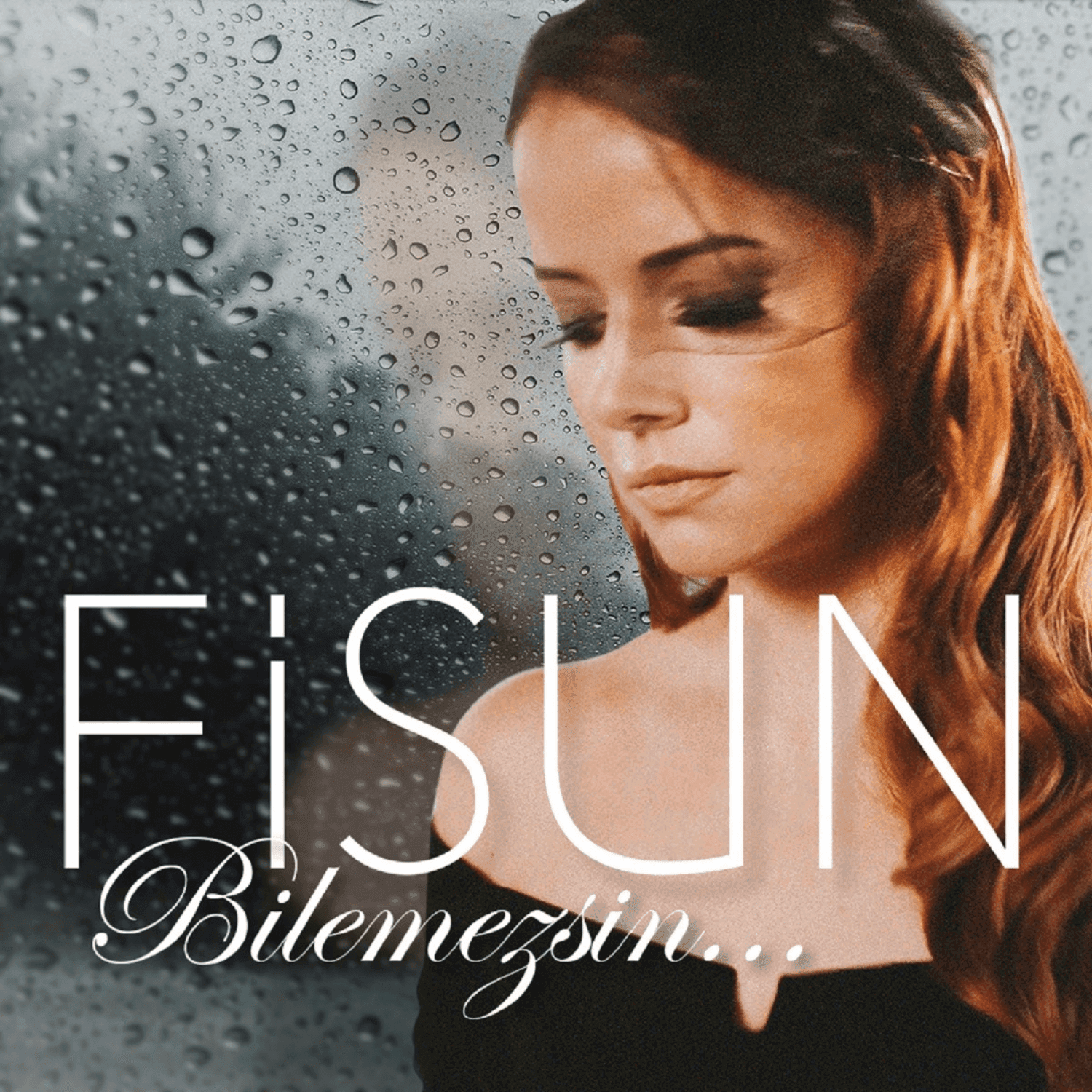 Fisun Bilemezsin Eser Taskiran Diskografisi