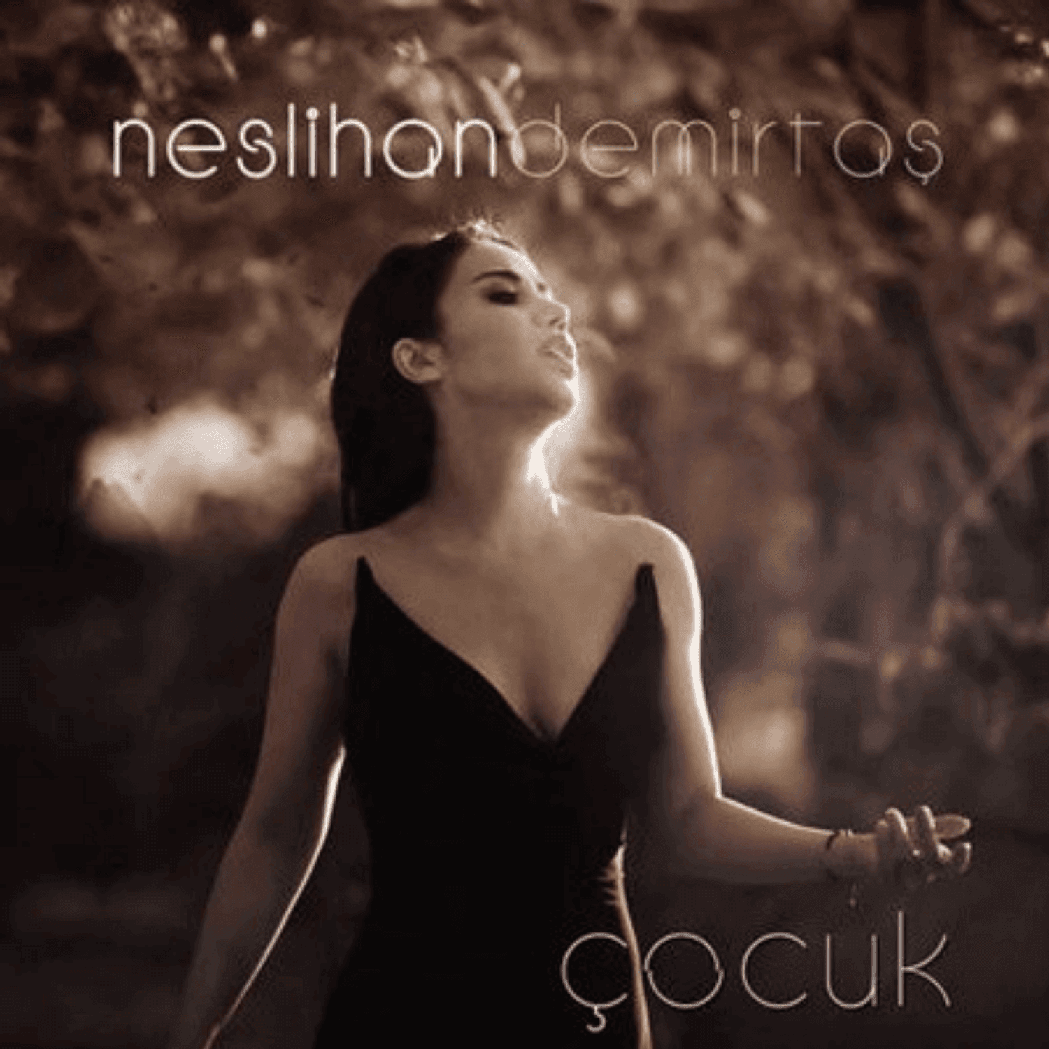 Neslihan Demirtas Cocuk Eser Taskiran Discography