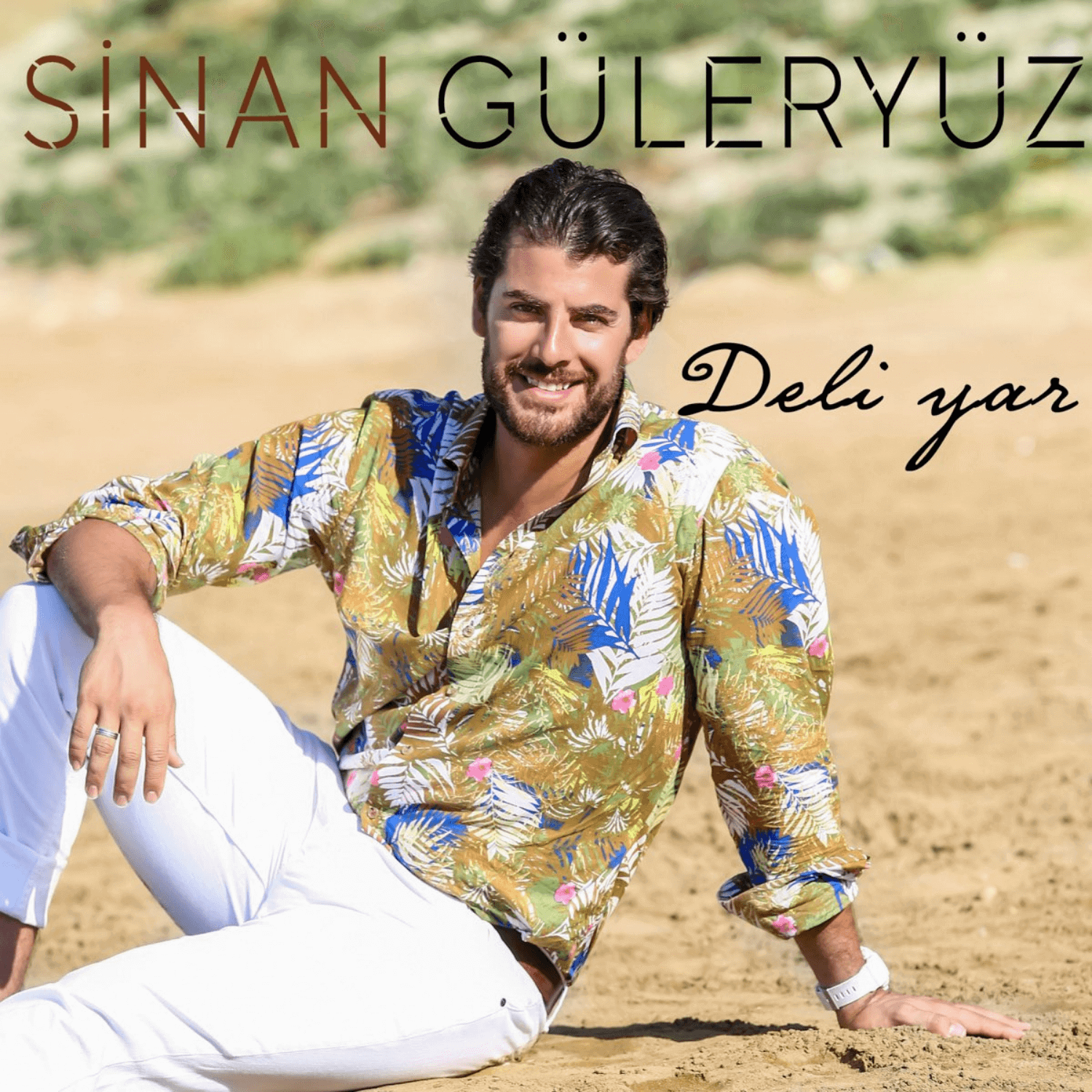 Sinan Guleryuz Deli Yar Eser Taskiran Discography
